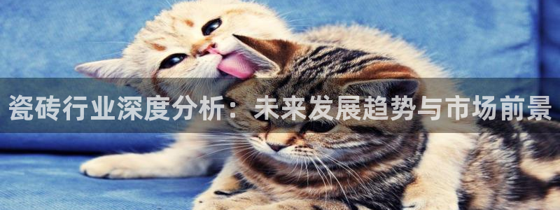 金年会入口网站