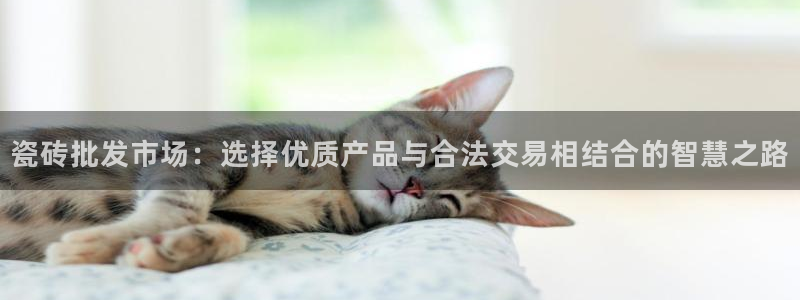 金年会全站