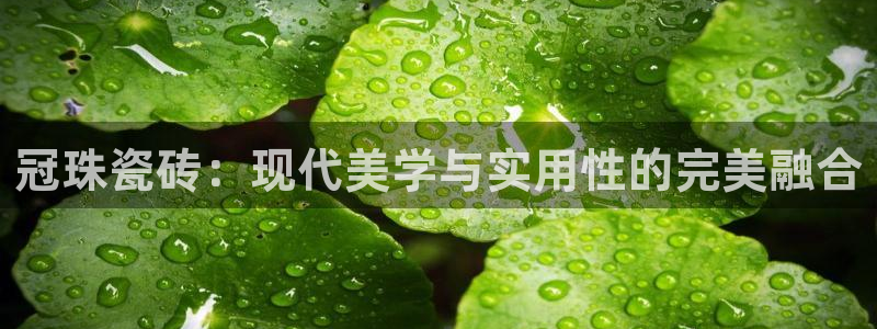 金年会VIP