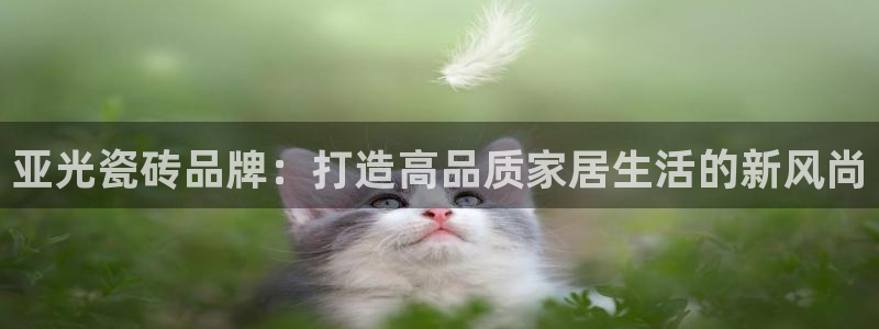 金年会在线