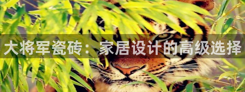 金年会软件之家下载