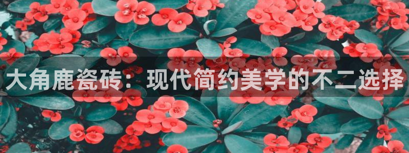 金年会嗨聊app下载