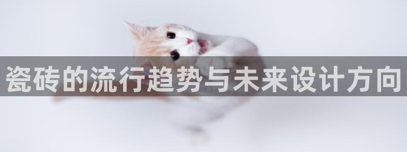 金年会最新官网