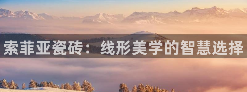 金年会平台是什么