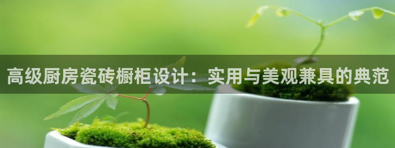 金年会电子