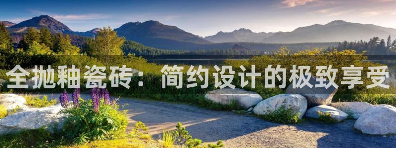 金年会体育