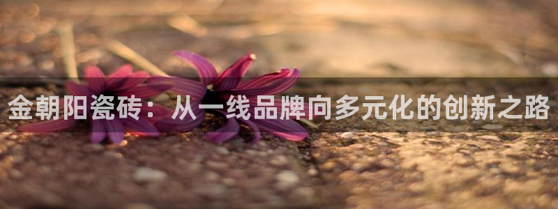 金吉年会