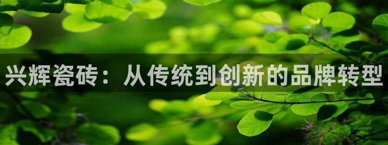 金年会在线下载