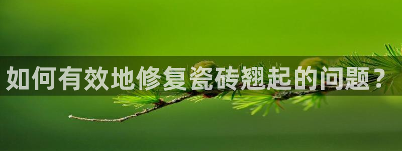 金年会登录入口