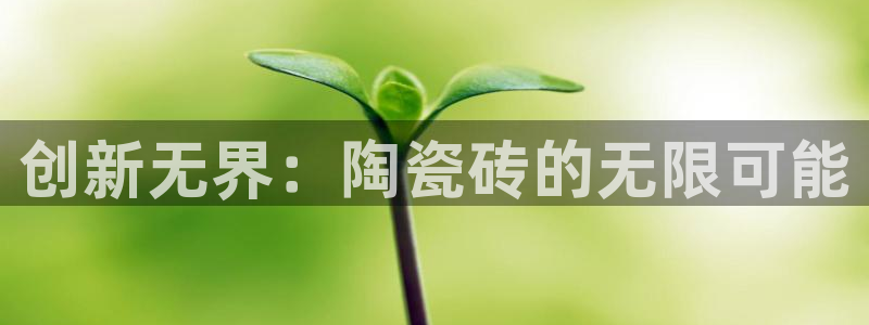 金年会吧