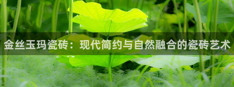 金年会在线入口