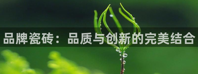 金年会是真的吗