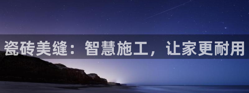今年会金年会