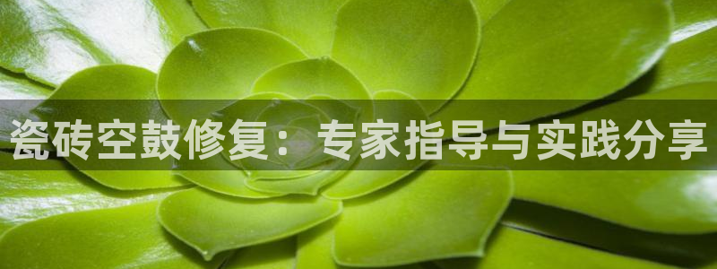 金年会登录入口