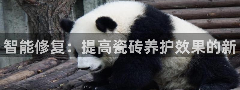 金年会官网