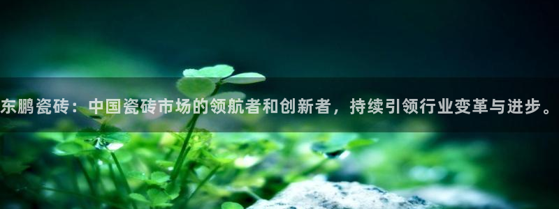 金哥年会