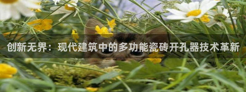 金年会入口
