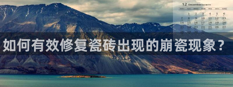 金年会网登录平台入口