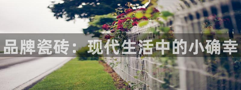 金年会电子