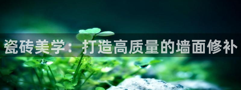 金年会官网app