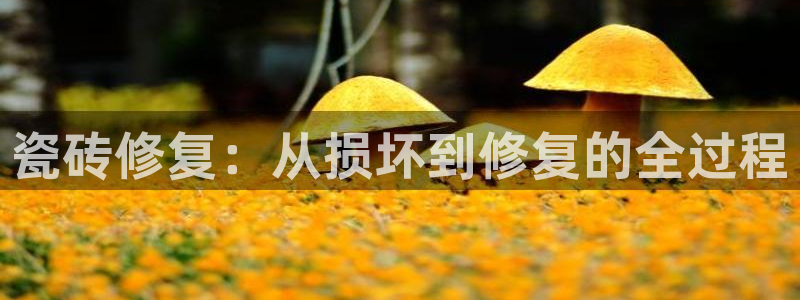 金年会 中国 金年会