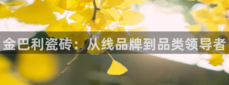 澳门与金年会的关系