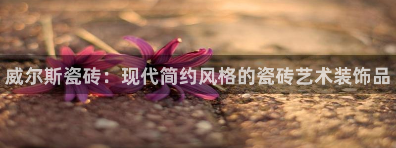 金年会官网地址