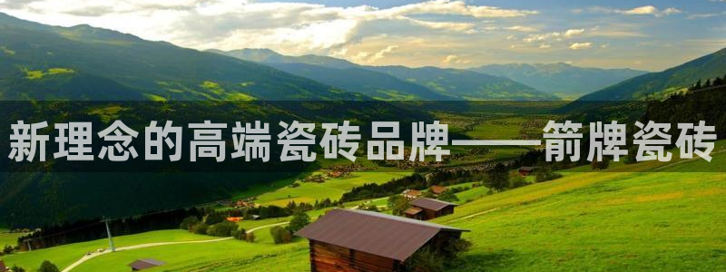 金年会是正规平台吗