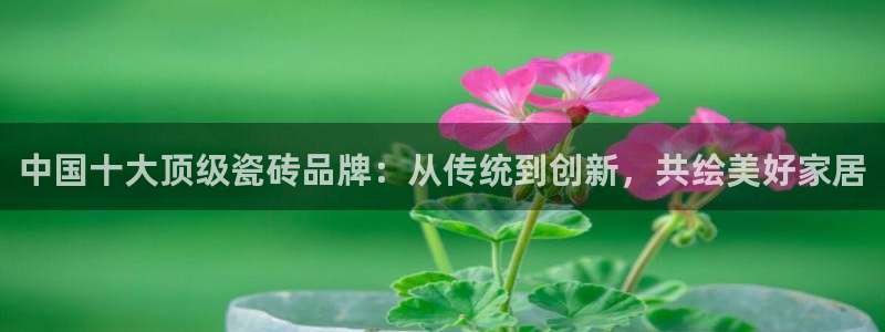 金年会app下载官网