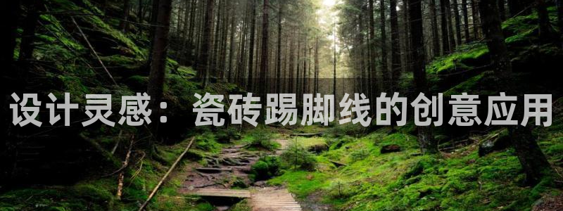 金年会平台出款