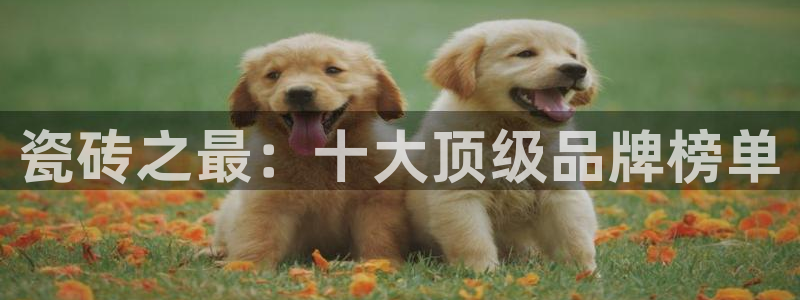 金年会手机登录