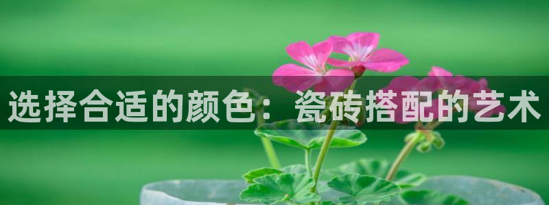 金年会娱乐提现