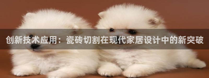 今年会送彩金28