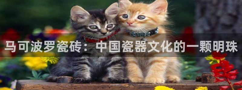 金年会体育下载