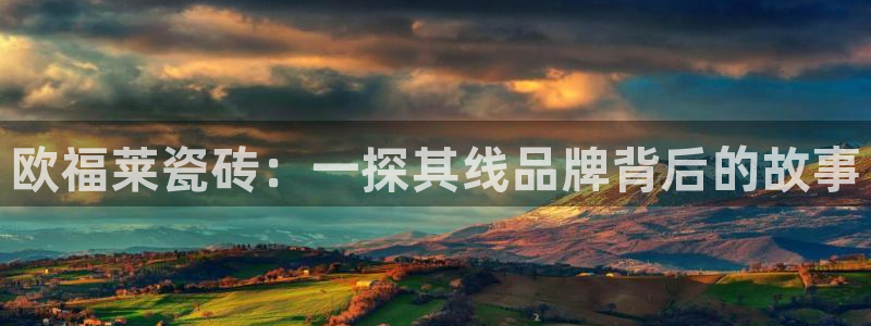 金年会官方客服