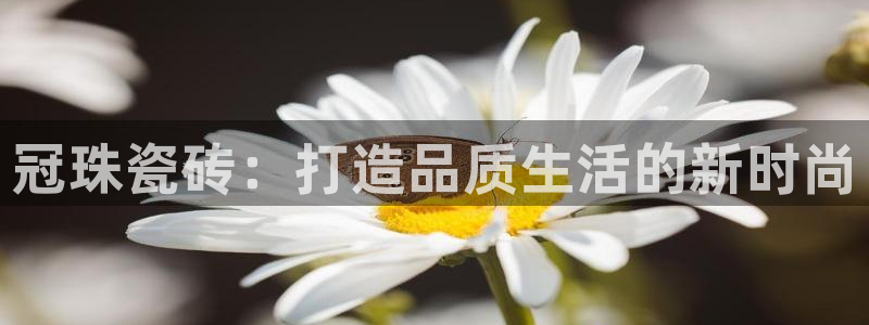金年会登录入口