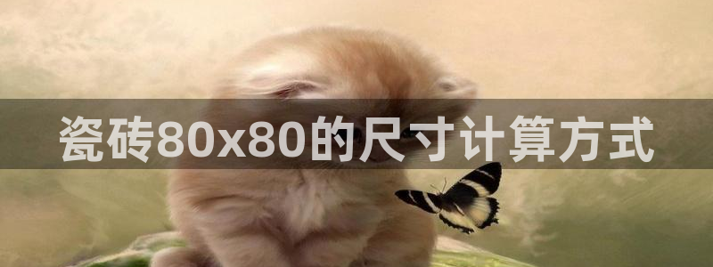 金年会 中国 金年会