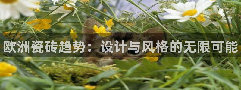 金年会电子游戏