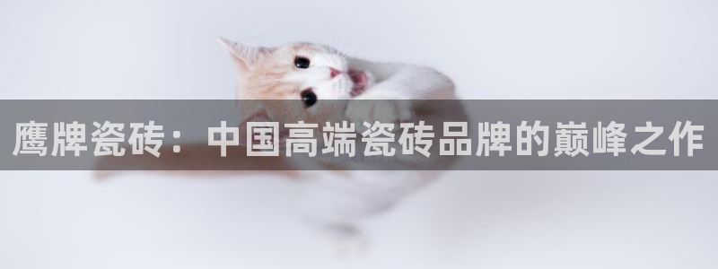 金年会最新登录