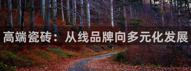 金年会娱乐下载