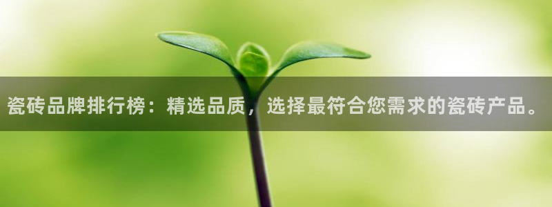 金年会是真的吗