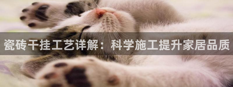 陆金所 年会