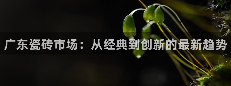 金年会官方入口