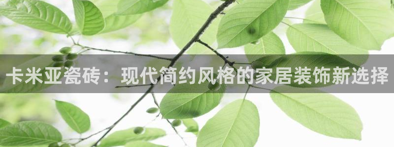 金年会会