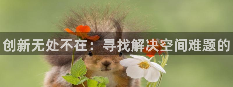 金辉城年会视频