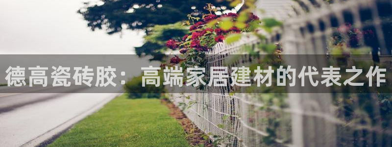 金年会嗨聊app下载