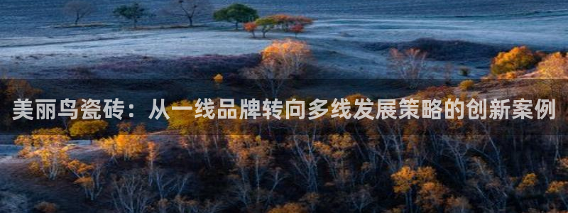金年会体育平台官网