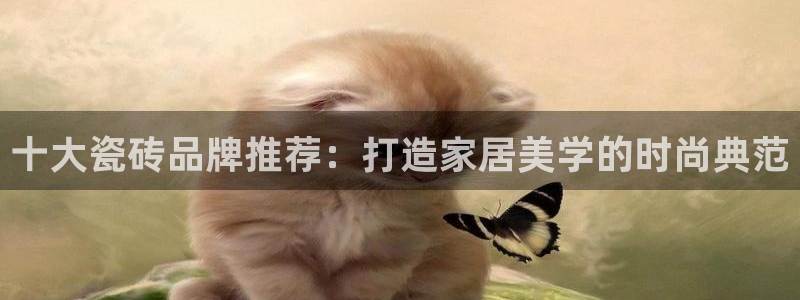 金年会官方体育登录入口