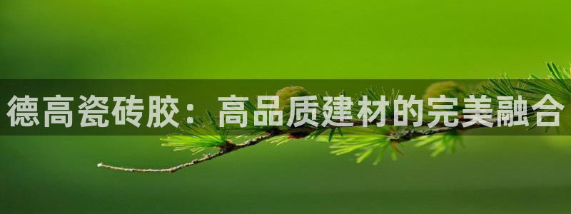 金科年会图片