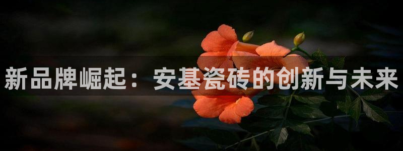 金年会不给提现
